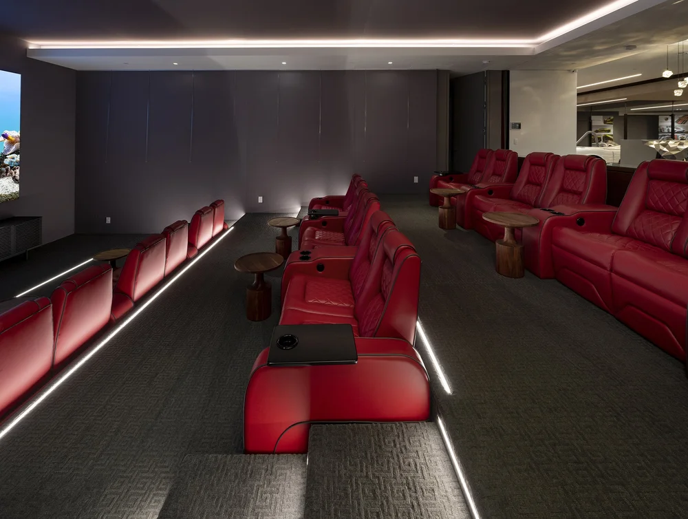 Cinema